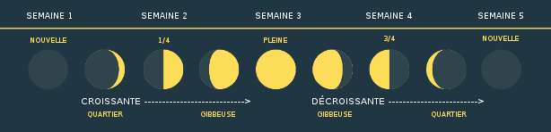 phaseslune.png